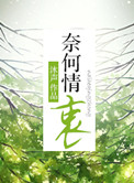 奈何情深的音乐视频